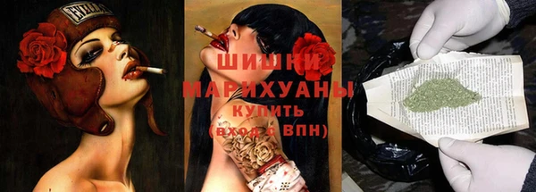 прущие грибы Корсаков