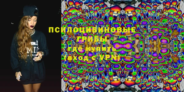 прущие грибы Корсаков