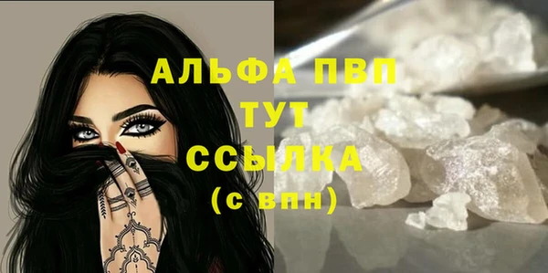 прущие грибы Корсаков