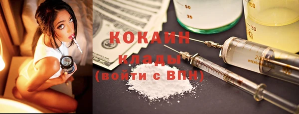 гашик Коряжма