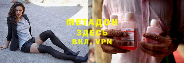 прущие грибы Корсаков