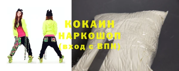 прущие грибы Корсаков
