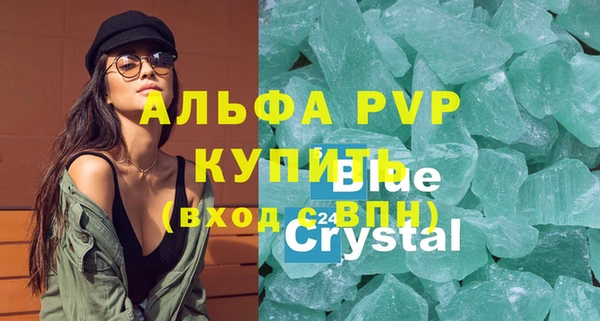 прущие грибы Корсаков