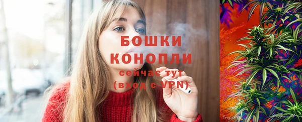 прущие грибы Корсаков