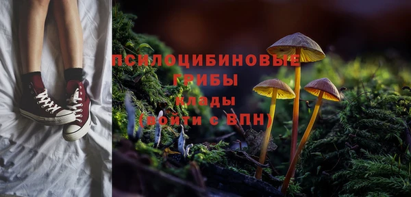 mdpv Костерёво