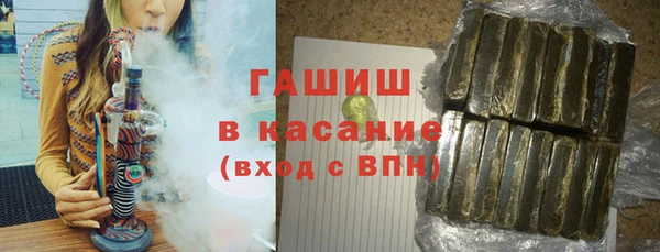прущие грибы Корсаков