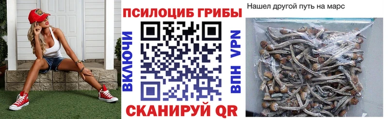 Псилоцибиновые грибы MAGIC MUSHROOMS  Купить где  Камешково 